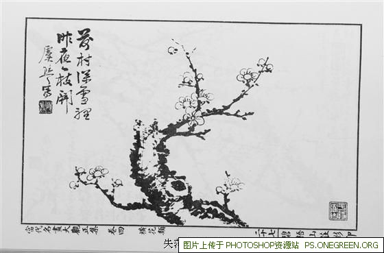 龙游往返上海车队有哪些（龙游到上海顺风车）